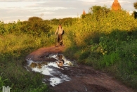 Bagan (43)