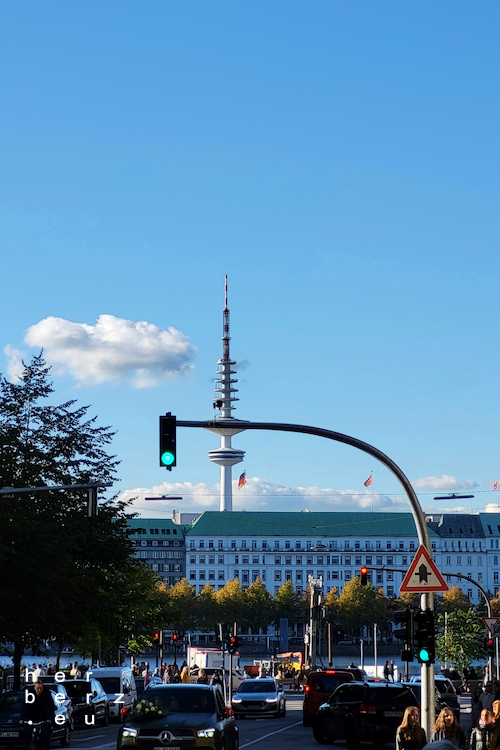 40/2024 – Grün vorm Turm